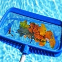 Types of Pool Cleaner